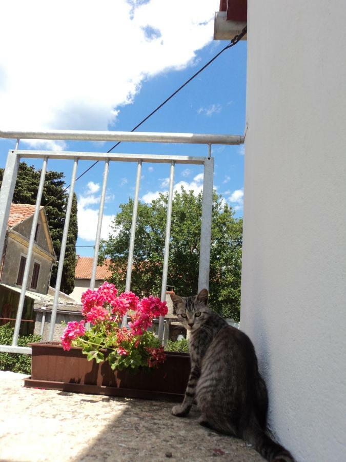 Apartment Lordanic Zaglav, Dugi Otok Экстерьер фото