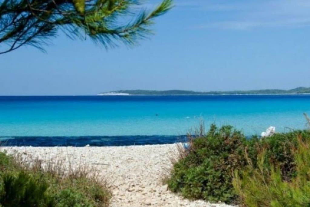 Apartment Lordanic Zaglav, Dugi Otok Экстерьер фото
