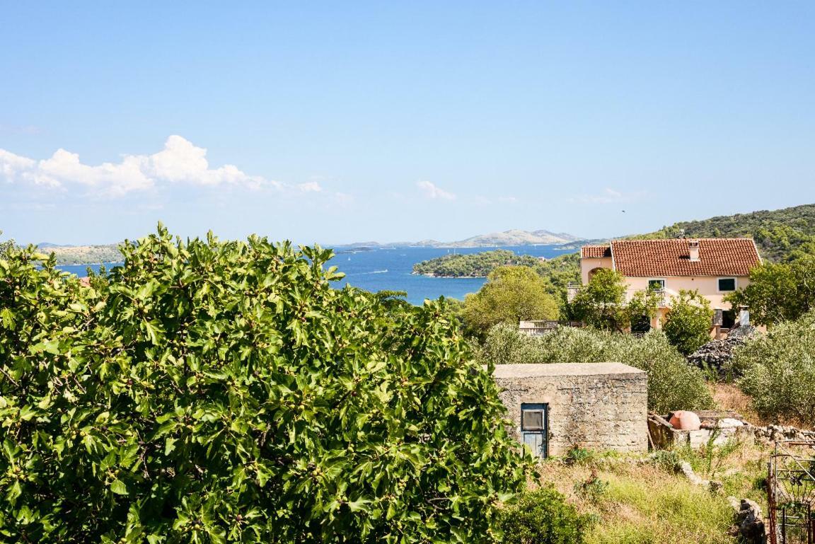 Apartment Lordanic Zaglav, Dugi Otok Экстерьер фото